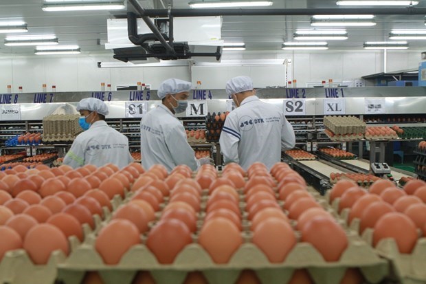 Les exportations des produits de l’élevage atteignent près d’un milliard de dollars chaque année
